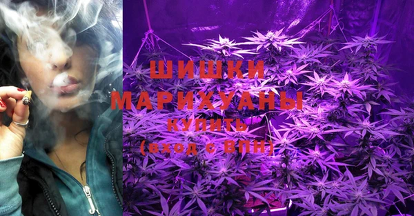прущие грибы Абдулино